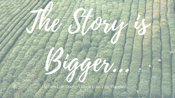 the-story-is-bigger-blog-header